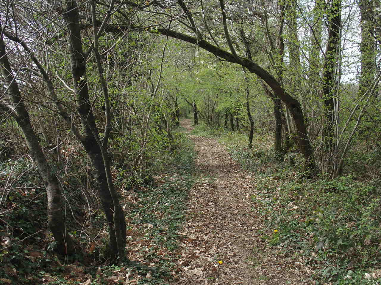 Aucune photo pour cette étape.